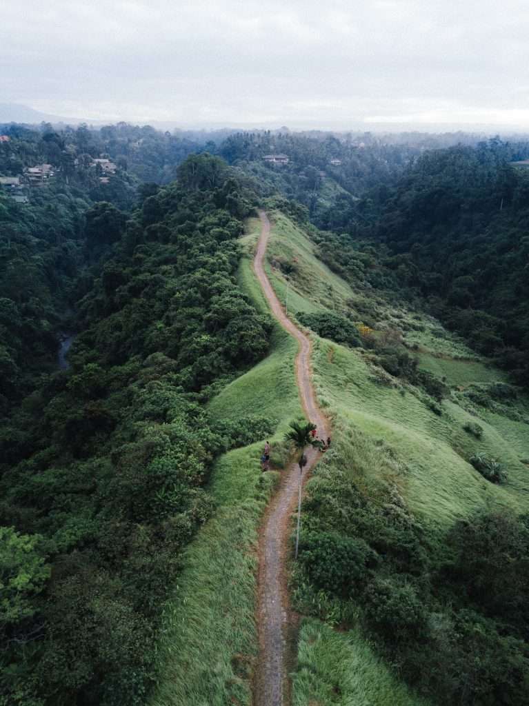 The environment will not have greenery like this forever if we don't preserve it.